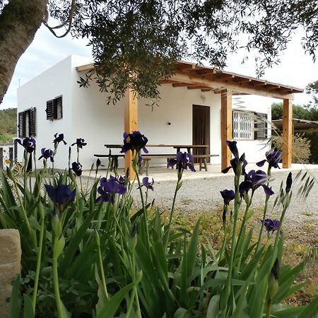 Sa Vinya Casa De Campo Es Cubells Eksteriør billede