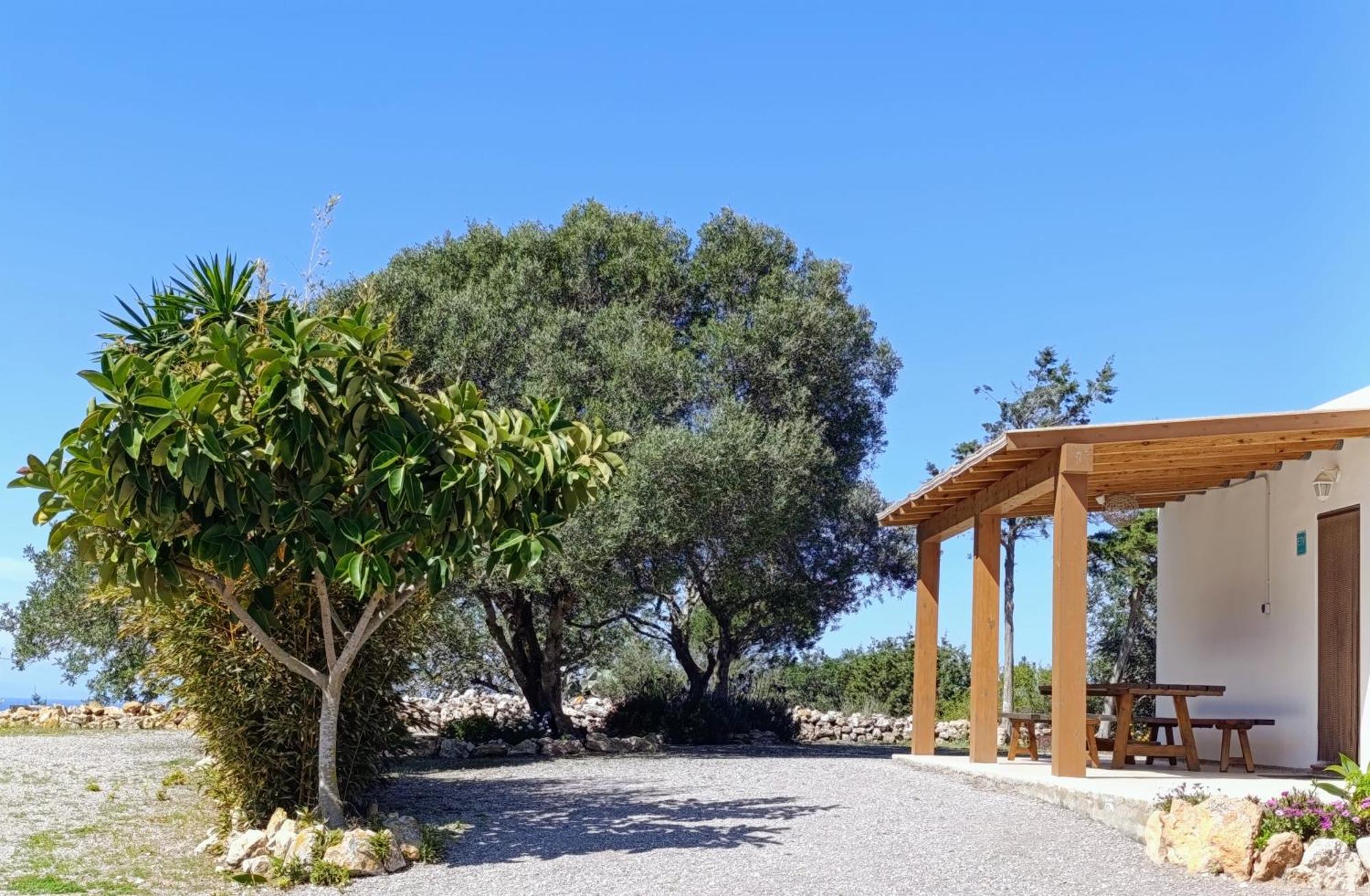 Sa Vinya Casa De Campo Es Cubells Eksteriør billede